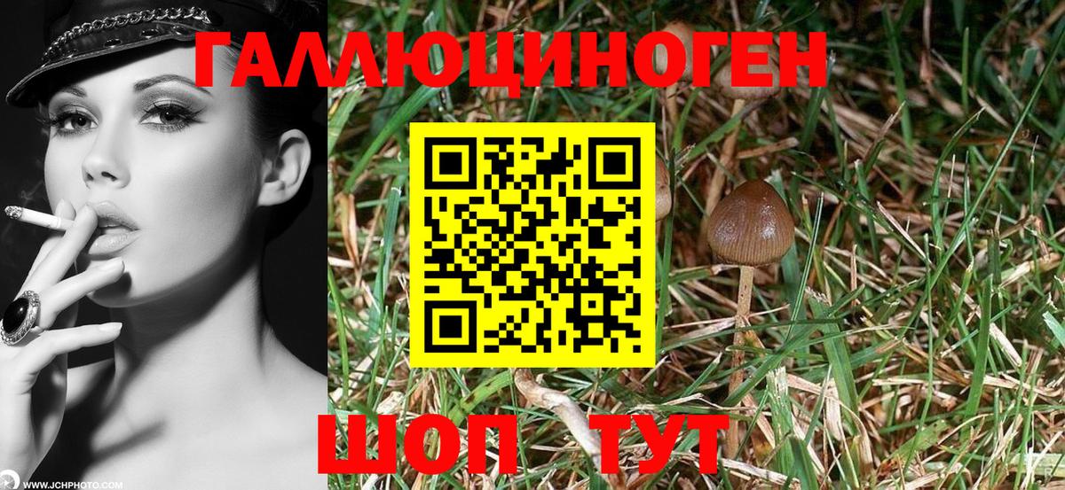 Псилоцибиновые грибы мухоморы  Вход с VPN  Галлюциногенные грибы Psilocybe  Серов 